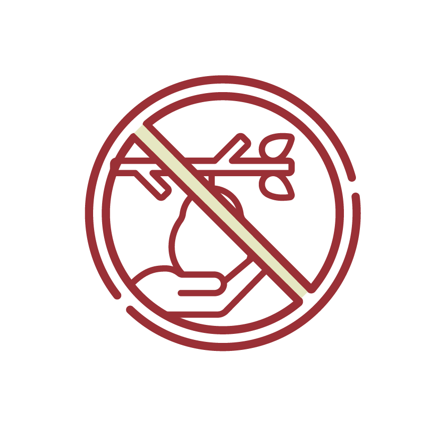 Ter Hooge – Iconen