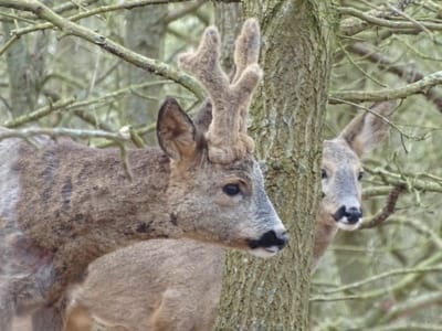 whatsapp-image-2024-05-16-at-11.56.40